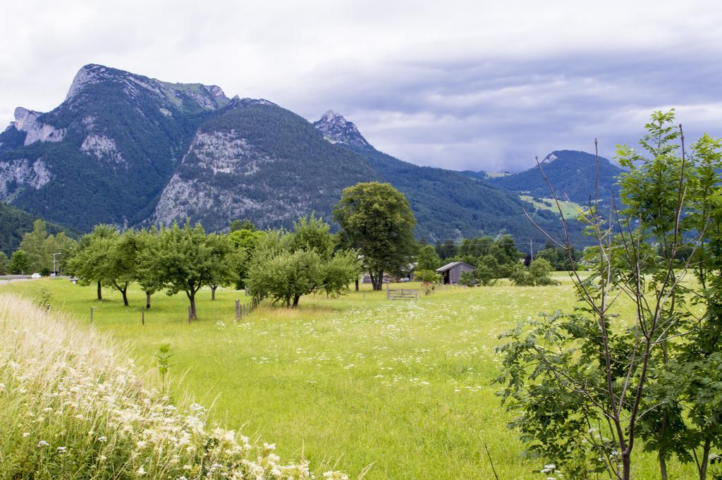 Haus Loferer Διαμέρισμα Sankt Martin bei Lofer Εξωτερικό φωτογραφία